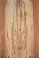 Spalted Apple Top