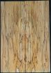 Spalted Beech 