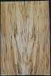 Spalted Beech 