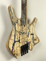 Spalted Maple top