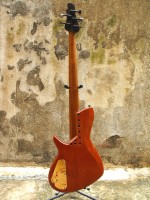 Ovangokol Bass   Alfa Guitars, Camel Bass