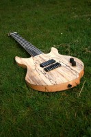 Spalted Maple     Roy Lust