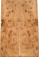 Burl Elm