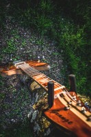 Walnut top    Grange guitares