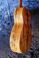Spalted Maple top