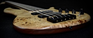 Burl Poplar top   Tifaine Gallucci