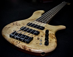 Burl Poplar top   Tifaine Gallucci