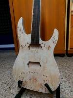 Burl Poplar     www.facebook.com/mirkocosta.guitar/