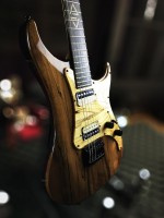 Spalted Walnut    Alex Andrini