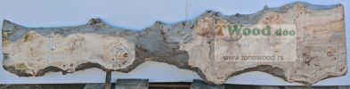 Mappa burl 1100 mm- 300 mm- 65mm-L3-2, 1400 mm-640 mm-65mm-L3-2-1