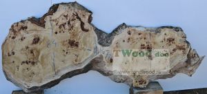 Mappa burl 1800 mm- 640 mm- 70mm-L9-1