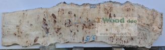 Mappa burl 2600 mm- 730 mm- 65mm-L-5-5