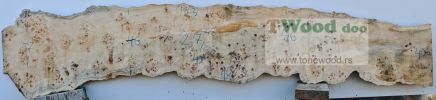 Mappa burl 2700 mm- 570 mm- 65mm-L10-4