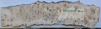 Mappa burl 2700 mm- 630 mm- 65mm-L5-4