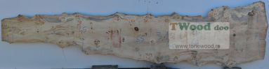 Mappa burl 3100 mm- 720 mm- 65mm-L-1