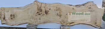 Mappa burl 3400 mm- 730 mm- 70mm-L9-7