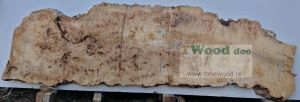 Mappa burl 3400 mm- 1000 mm- 85mm-L7-7