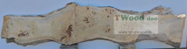 Mappa burl 3400 mm- 630 mm- 70mm-L9-8