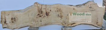 Mappa burl 3400 mm- 730 mm- 70mm-L9-7-5