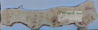 Mappa burl 3400 mm- 880 mm- 70mm-L9-4