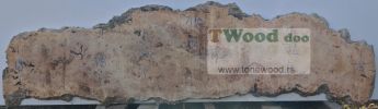 Mappa burl 3400 mm- 860 mm- 65mm-L7-10