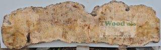 Mappa burl 3500 mm- 1000 mm- 80mm-L7-4-1