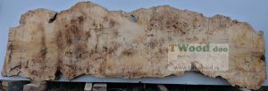 Mappa burl 3500 mm- 1030 mm- 85mm-L-1