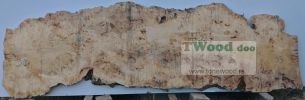 Mappa burl 3500 mm- 1040 mm- 85mm-L7-6