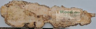 Mappa burl 3400 mm- 870 mm- 80mm-L7-3