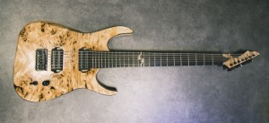 Dennison Guitars  Burl poplar top