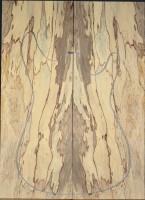 Spalted-Maple-Top-7x200x550-spM10T070701.jpg