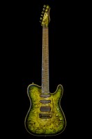 Burl poplar top   AMS guitars: Sylvester-1