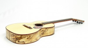 Spalted Maple  www.eyestone-guitars.com    T-model