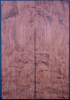 Bubinga Top