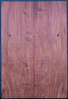 Bubinga Top