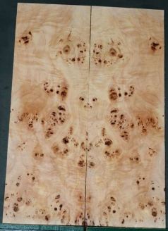 Burl Poplar top