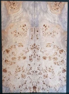 Burl Poplar Top