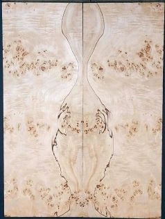 SPALTED Burl Poplar Top