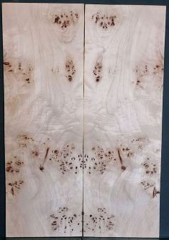 Burl Poplar Top