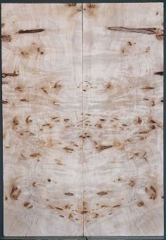 Burl Poplar Top