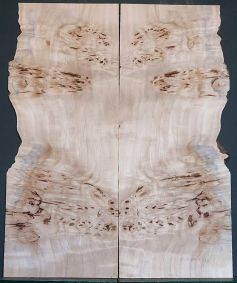 Burl Poplar Top