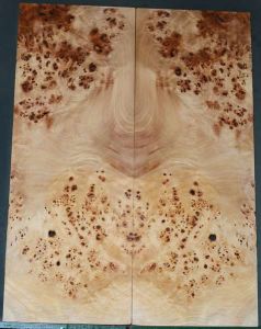 BASS Burl Poplar top