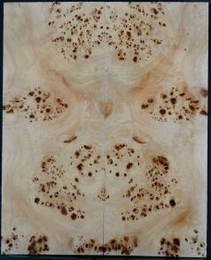 Burl Poplar top