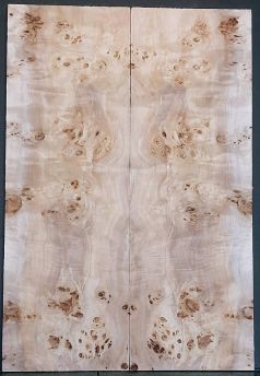 Burl Poplar Top CARVED