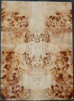 Burl Poplar top