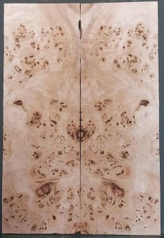 Burl Poplar Top