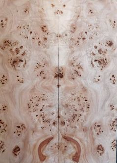 Burl Poplar Top
