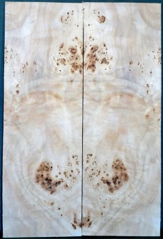 Burl Poplar Top