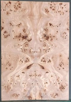 Burl Poplar Top