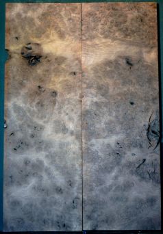 Burl Walnut RESERVED